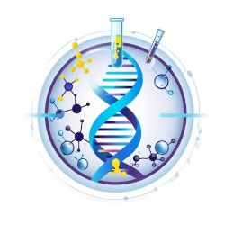 Научно-исследовательская лаборатория «Центр молекулярных и биотехнологических исследований»